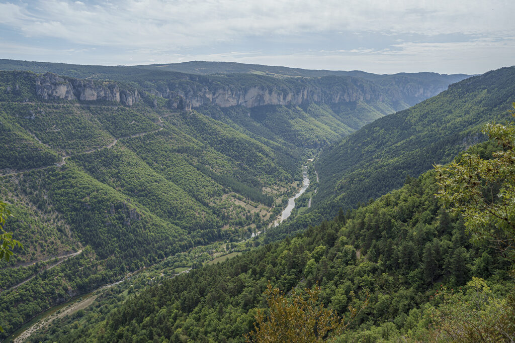 Gorges du Tarn