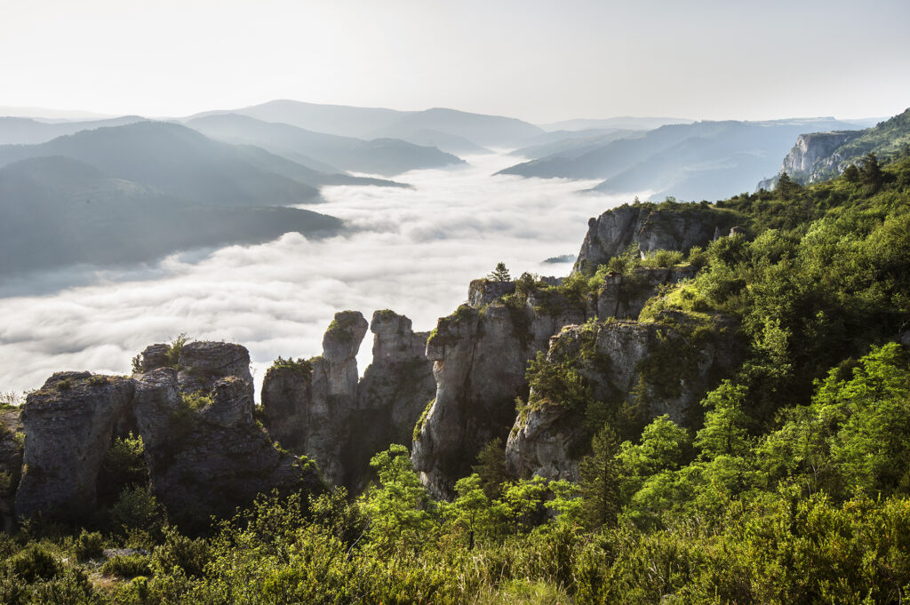 Randonnée Tour du Mont Lozère