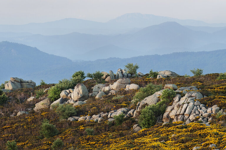 Itinérance autour du Mont Lozère