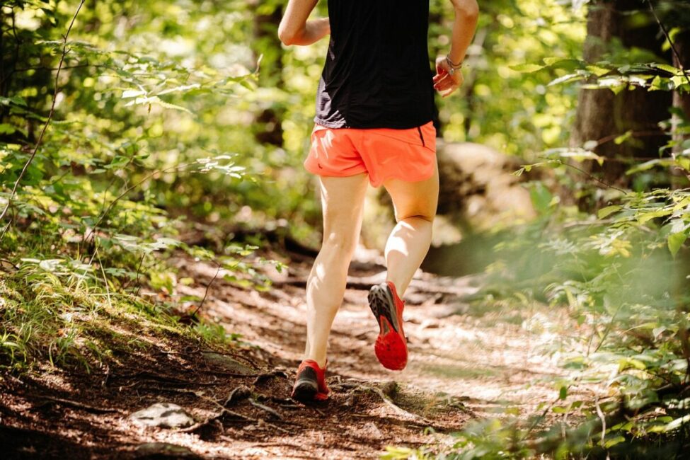 Image 0 : 1ER TRAIL DE LA VALLÉE FRANÇAISE