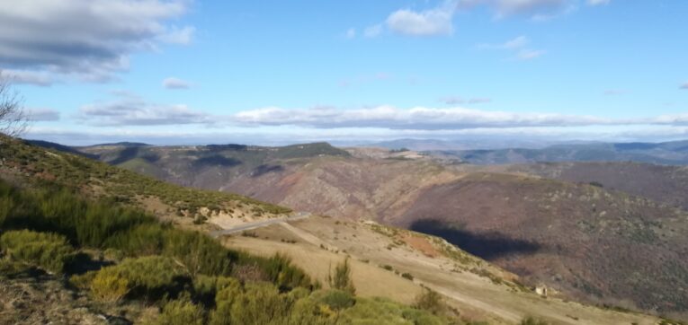 Image 0 : AIDE LA BIODIVERSITÉ ET LA BIODIVERSITÉ T'AIDERA