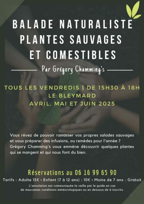 Image 0 : BALADE NATURALISTE : PLANTES SAUVAGES ET COMESTIBLES