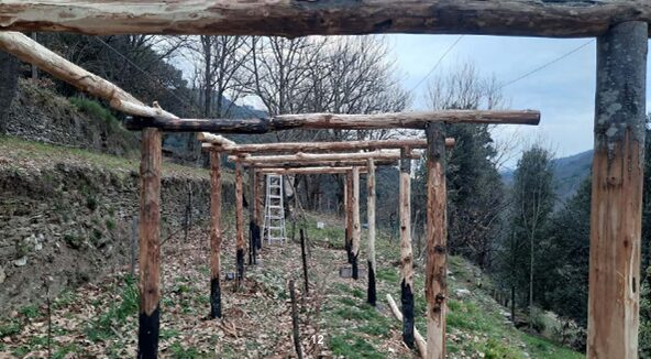 Image 0 : CHANTIER COLLECTIF :  MONTAGE D'UNE TREILLE EN CHÂTAIGNIER