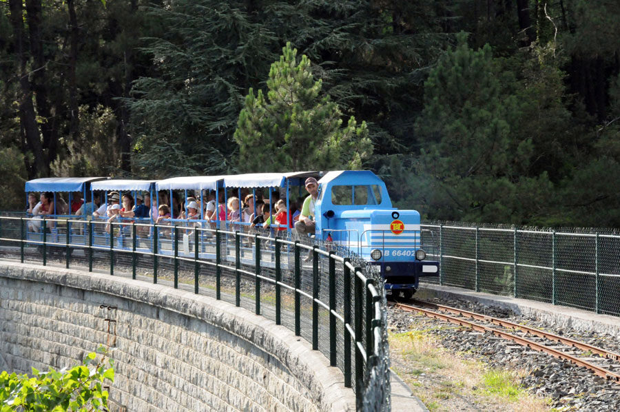 Image 0 : CHASSE AUX OEUFS DU TRAIN DE L'ANDORGE EN CÉVENNES