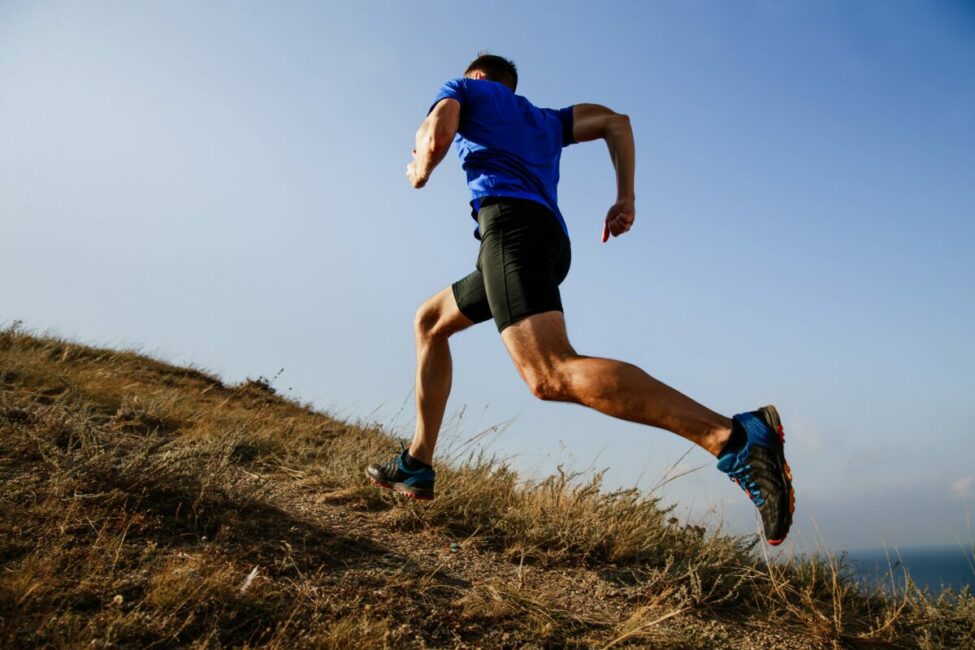 Image 0 : COURSE TRAIL : LES SENTIERS DES CHEFS D'UNITÉS