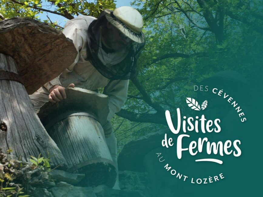 Image 0 : VISITES DE FERMES 2024 : L'ARBRE AUX ABEILLES