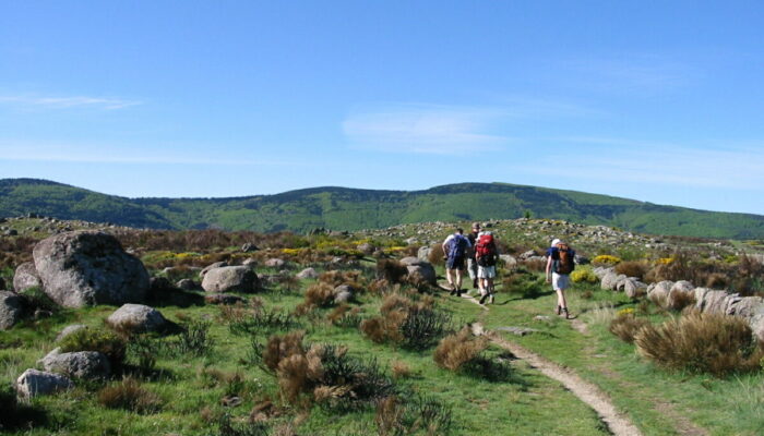 Image 0 : CEVENNES EVASION