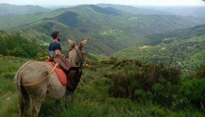 Image 0 : CÉVENNES G'RANDOS D'ÂNES