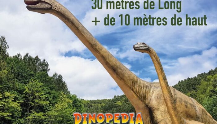 Image 4 : DINOPEDIA PARC