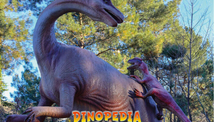 Image 2 : DINOPEDIA PARC