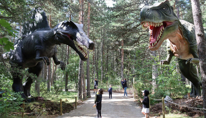 Image 0 : DINOPEDIA PARC