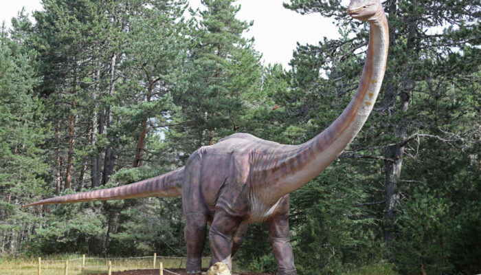 Image 2 : DINOPEDIA PARC