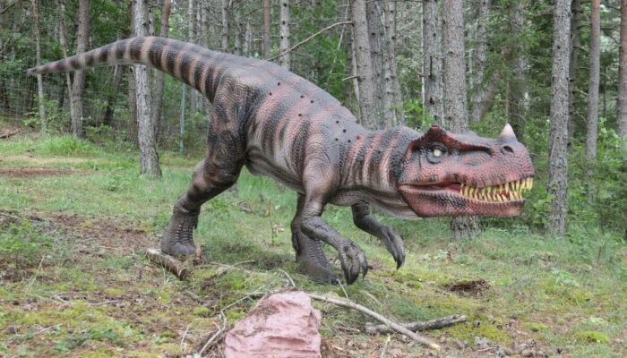 Image 3 : DINOPEDIA PARC