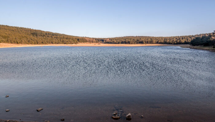 Image 1 : ETANG DE BARRANDON