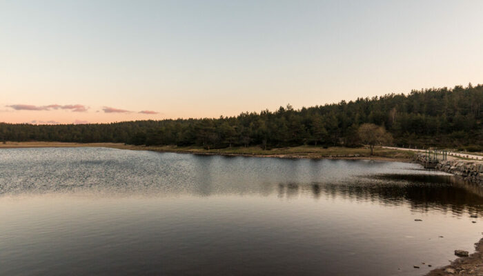 Image 2 : ETANG DE BARRANDON