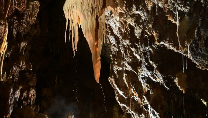 Image 2 : GROTTE DE DARGILAN