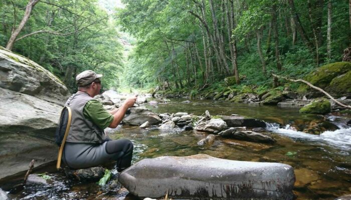 Image 3 : GUIDE DE PECHE MONT LOZERE