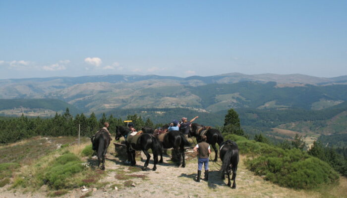 Image 2 : LA CAVALE DU VENTALON