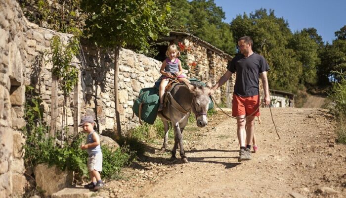 Image 0 : LA FERME DES CEVENNES