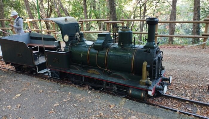 Image 1 : LE TAC : TRAIN DE L'ANDORGE EN CÉVENNES