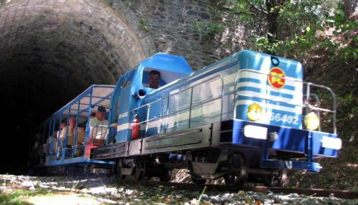 Image 0 : LE TAC : TRAIN DE L'ANDORGE EN CÉVENNES