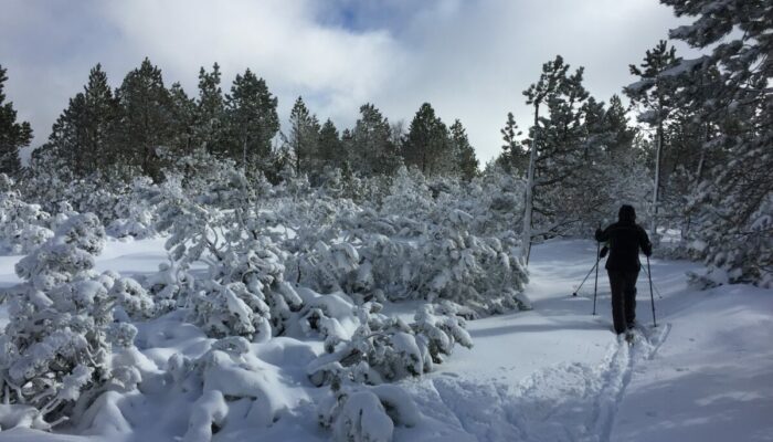 Image 0 : STATION DE SKI DU BLEYMARD MONT LOZERE