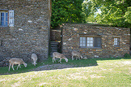 Image 4 : CHAMBRE D'HÔTES LA MAGNANERIE DU SERRE