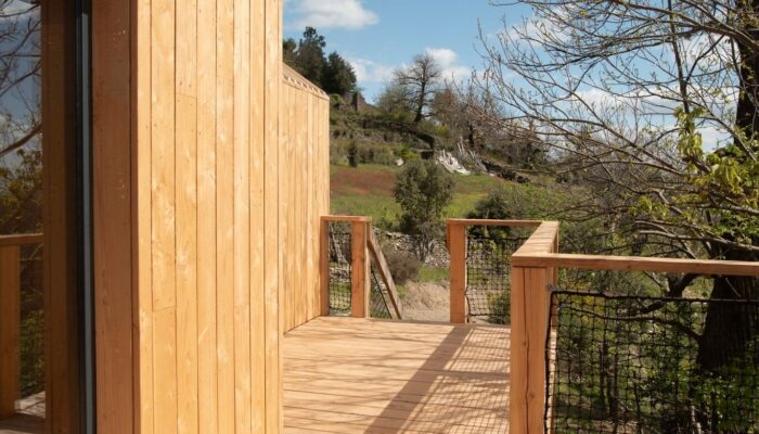 Image 0 : DOMAINE LE VERDIER : NID DANS LE CHÂTAIGNIER