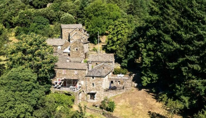 Image 0 : LES HÔTES DU CHÂTAIGNIER