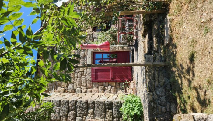 Image 0 : GÎTE CHEZ MÉMÉ TCHOUNE