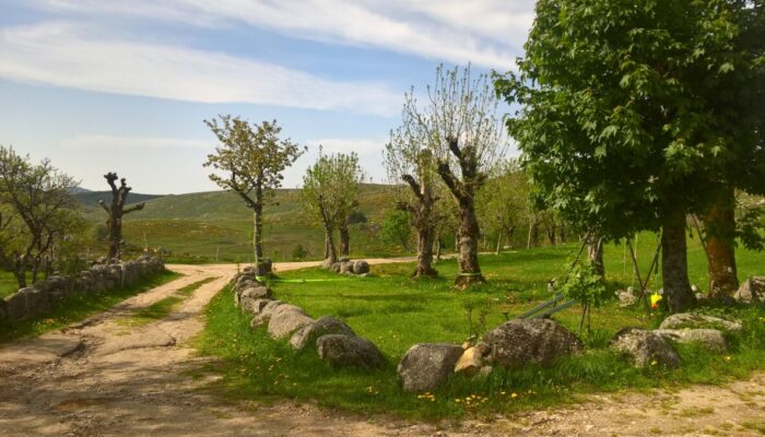 Image 0 : GÎTE LILAS