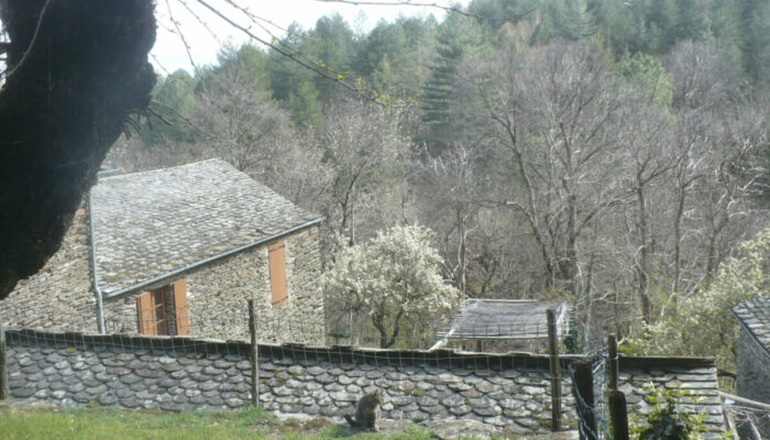 Image 2 : GÎTES DU BANCILHON : LA MAGNANERIE