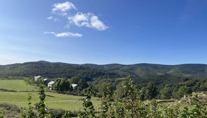 Image 0 : LA TCHOURETTE DU MONT LOZERE CHALETS MOYENS