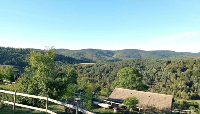 Image 3 : LA TCHOURETTE DU MONT LOZERE - PETIT CHALET