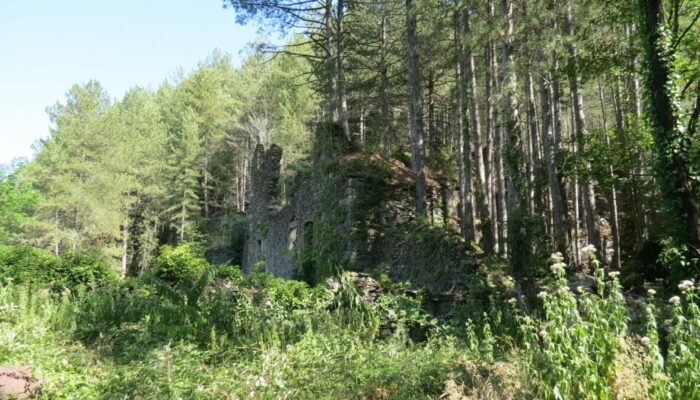 Image 2 : ANCIENNE MINE D'ARGENT DU BOCARD