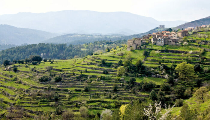 Image 0 : LES BANCELS CEVENOLS