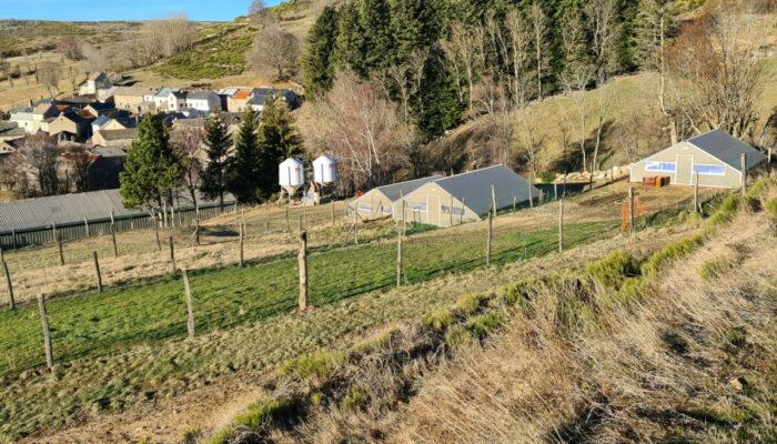 Image 3 : GAEC BOISSIER - LES VOLAILLES FERMIÈRES DU MONT LOZERE