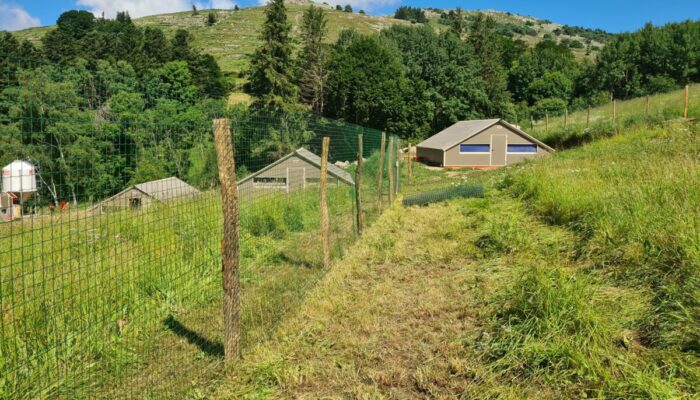 Image 0 : GAEC BOISSIER - LES VOLAILLES FERMIÈRES DU MONT LOZERE