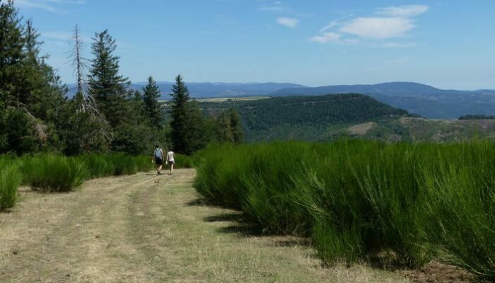 Image 2 : Col de Salidès