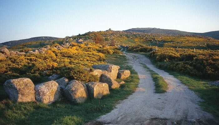 Image 1 : Crête du Mont Lozère - Trail n°18