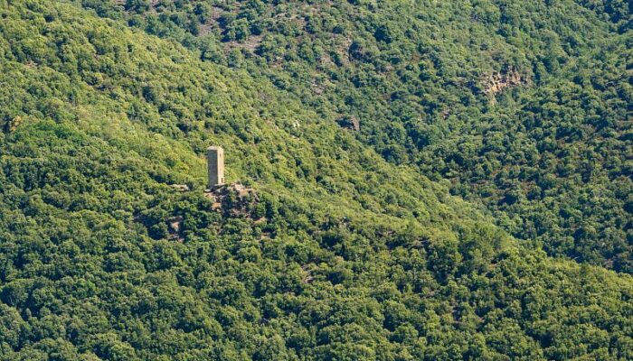 Image 0 : La tour du Canourgue