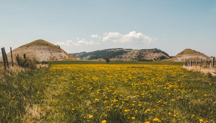 Image 0 : PAYSAGES INSOLITES ENTRE MONT LOZÈRE ET VALLÉE DU LOT