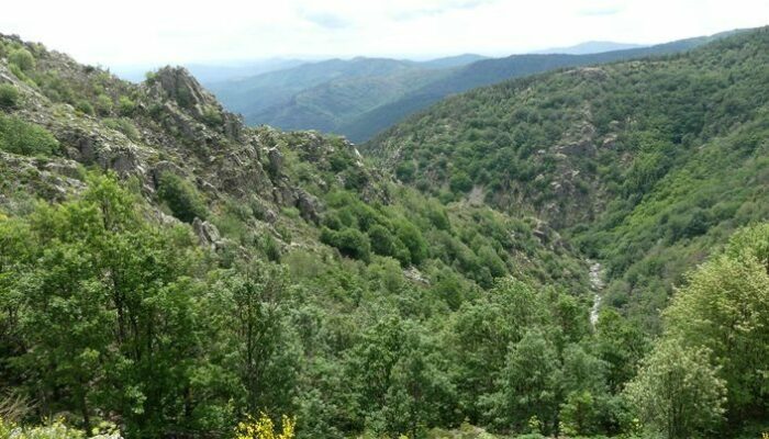 Image 2 : SENTIER  DES TOURRIÈRES