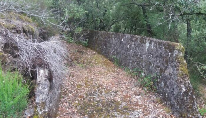 Image 3 : SENTIER DU GARDONNET