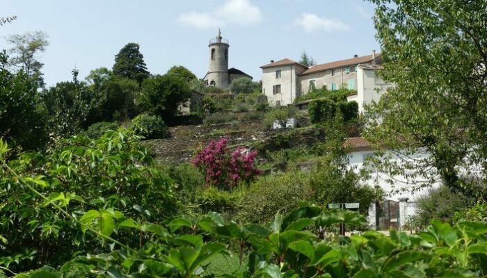 Image 0 : Tignac, entre châtaigniers et pins