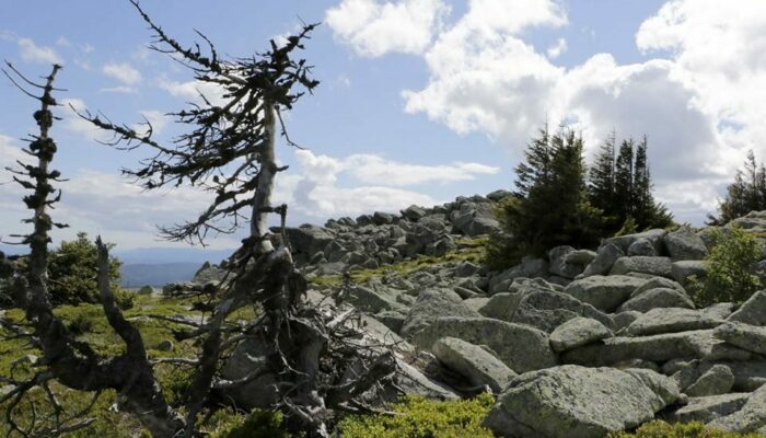 Image 1 : Vallée de Gourdouze - Trail n°21