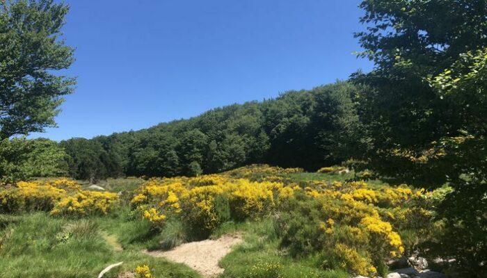 Image 1 : Vallée de Gourdouze (Variante courte) - Trail n°21v