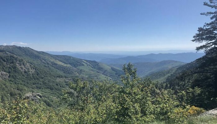 Image 2 : Vallée de Gourdouze (Variante courte) - Trail n°21v