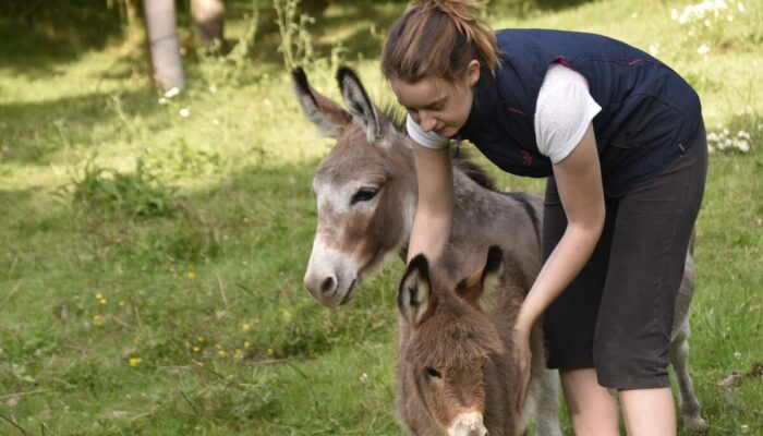 Image 1 : DECOUVRIR LA COMMUNICATION INTUITIVE® AVEC L'ANIMAL (7 JOURS A LA CARTE)