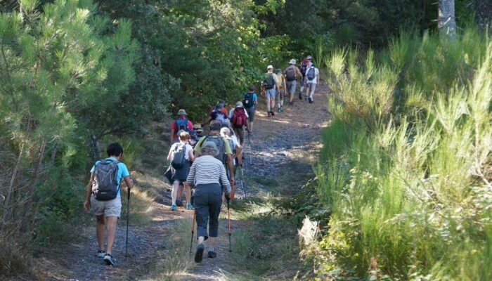 Image 1 : GROUPES en Cévennes : Formule randonneurs